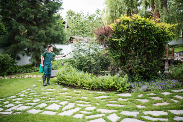Pest Prevention Services in Clarkesville, GA