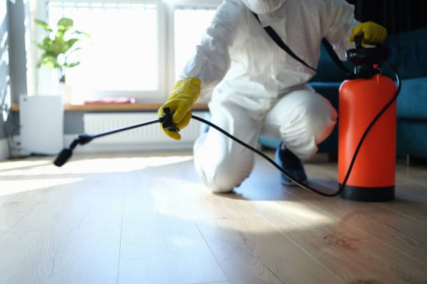 Best Pest Removal Services  in Clarkesville, GA