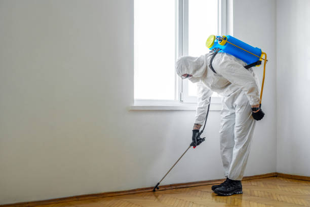 Best Pest Removal Services  in Clarkesville, GA