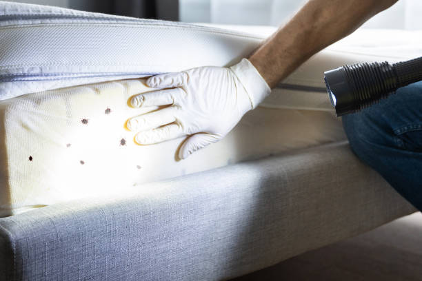 Best Emergency Pest Control  in Clarkesville, GA
