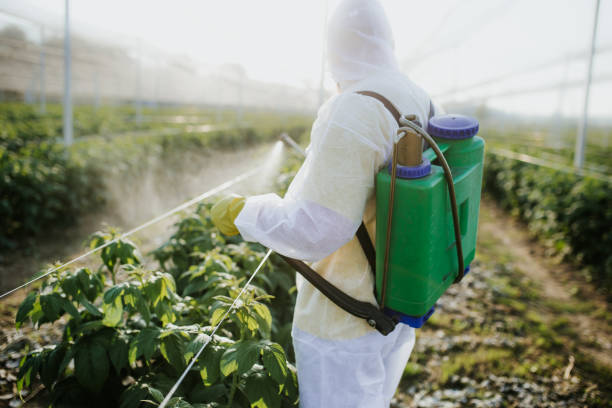 Best Commercial Pest Control Services  in Clarkesville, GA